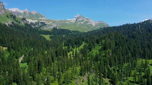 Flug Über Die Schweizer Landschaft Schweiz Von Oben — Stockvideo