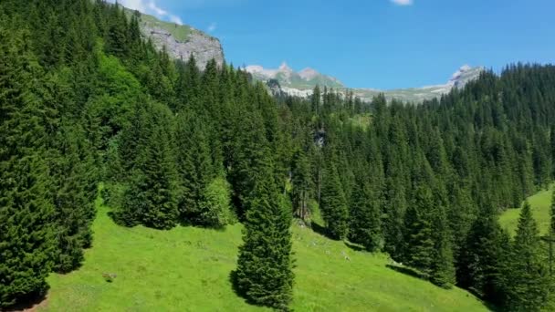 Natureza Maravilhosa Suíça Alpes Suíços Cima — Vídeo de Stock