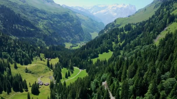 Lot Nad Szwajcarskim Krajobrazem Szwajcaria Góry — Wideo stockowe