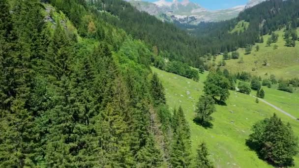 Vlucht Het Zwitserse Landschap Zwitserland Van Bovenaf — Stockvideo