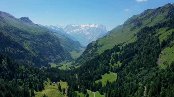 Wunderbare Natur Der Schweiz Die Schweizer Alpen Von Oben — Stockvideo