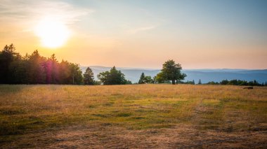 İsviçre 'nin İsviçre Alplerinde güzel tarım arazileri - seyahat fotoğrafçılığı