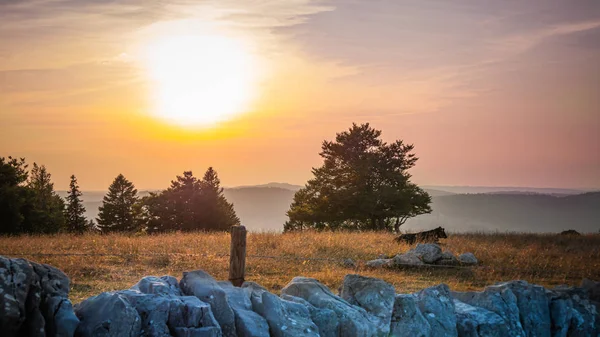 İsviçre 'nin İsviçre Alplerinde güzel tarım arazileri - seyahat fotoğrafçılığı
