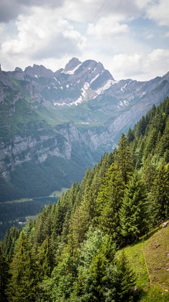 Дивовижний Краєвид Природа Швейцарських Альп Альпштейні Швейцарія — стокове фото