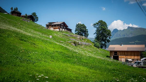Όμορφο Μικρό Χωριό Gimmelwald Ελβετία Τυπικό Ελβετικό Τοπίο — Φωτογραφία Αρχείου