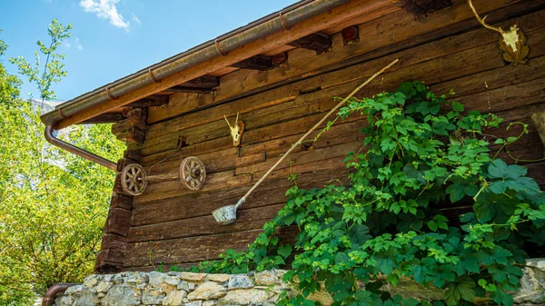 Historische Houten Hutten Van Gimmelwald Zwitserse Alpen Zwitserse Alpen Zwitserland — Stockfoto