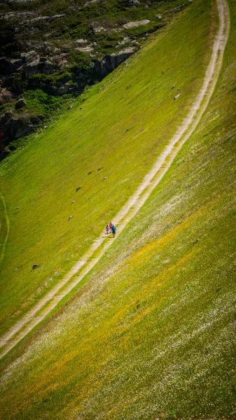 Hiking trails in the Swiss Alps - aerial view