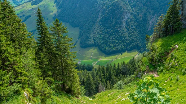 Wunderschöne Grüne Natur Den Schweizer Alpen Traumhafte Schweiz — Stockfoto