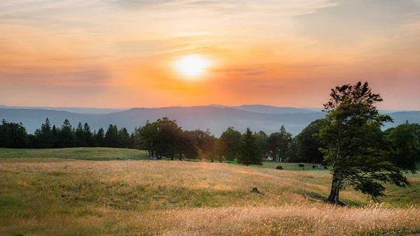 Wunderschöner Sonnenuntergang Über Landwirtschaftlichen Flächen Den Schweizer Alpen — Stockfoto