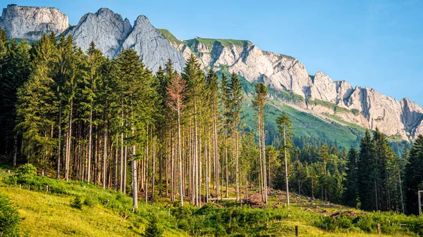 瑞士阿彭策尔令人惊叹的风景 — 图库照片