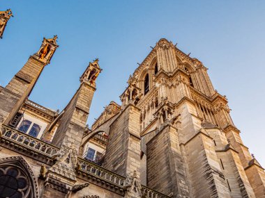 Paris 'teki Notre Dame Katedrali - Paris sokak fotoğrafçılığı