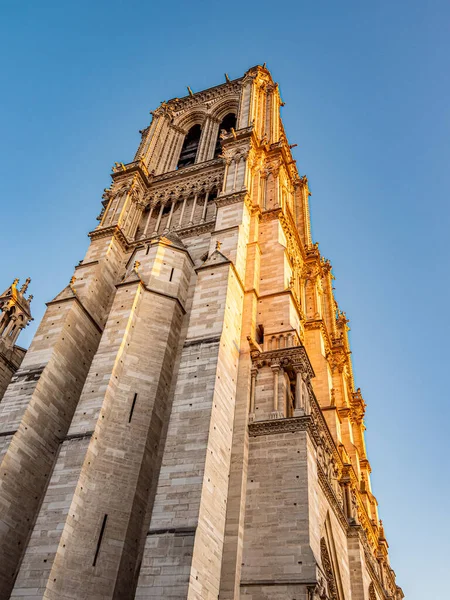 Catedral Notre Dame París Fotografias Calle París —  Fotos de Stock