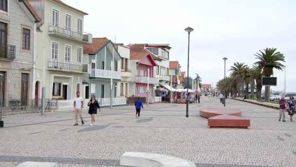 Die Typischen Farbig Gestreiften Gebäude Der Costa Nova Aveiro Portugal — Stockvideo