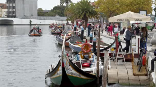 Gondelfahrt Den Kanälen Von Aveiro Aveiro Portugal September 2019 — Stockvideo