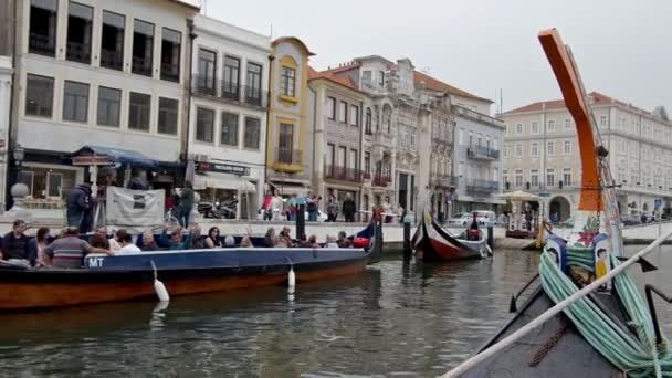 Muy Popular Ciudad Aveiro Góndola Recorre Los Canales Aveiro Portugal — Vídeo de stock