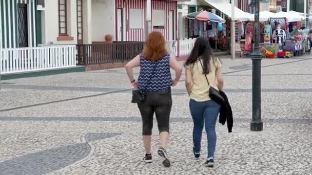 コスタ ノヴァの歩行者専用遊歩道 カラフルなストライプの建物 アヴェイロ ポルトガル 9月18 2019 — ストック動画