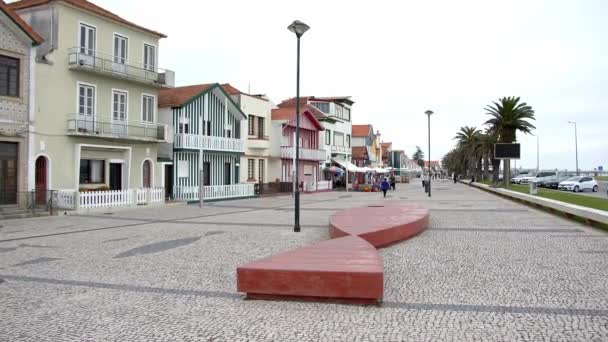 Kosta Nova Daki Yaya Geçidi Renkli Çizgili Binalarıyla Aveiro Portekiz — Stok video