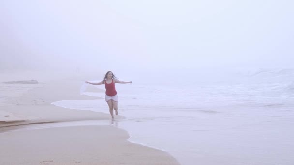 Lopen over een zandstrand aan de oceaan - zomervakantie — Stockvideo