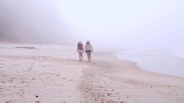 Jonge vrouwen hebben een geweldige tijd aan zee - strandvakantie — Stockvideo