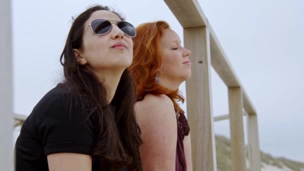 여름철의 해변에서 재미있는 소녀들은 긴장을 해면에서 동작을 장면에서 즐거운 시간을 — 비디오