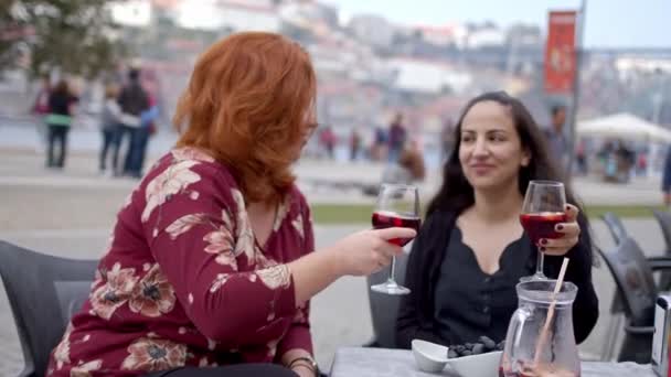 Due Donne Porto Bevono Bicchiere Sangria Sulle Rive Del Fiume — Video Stock