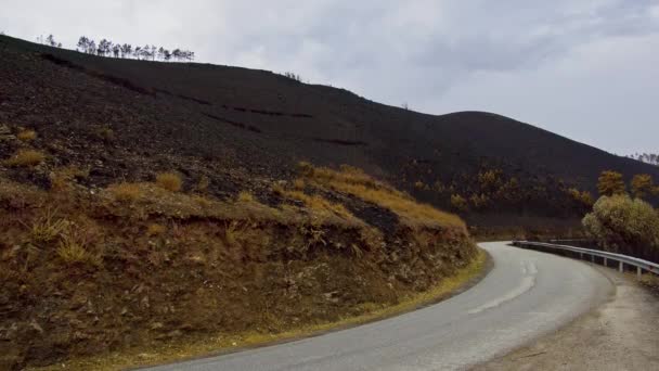 Portekiz Tepelerindeki Bir Yangından Sonra Yanmış Bitki Örtüsü — Stok video
