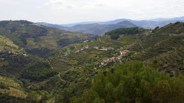 Vackra Portugal Vingårdarna Dourodalen Som Heter Vale Douro Resor — Stockvideo