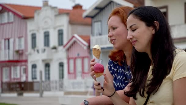 Dois Amigos Visitam Aldeia Costa Nova Portugal Imagens Viagem — Vídeo de Stock