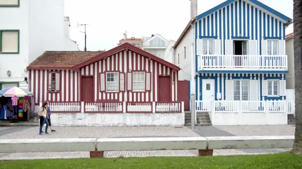 Kolorowe Domy Costa Nova Portugalii Zdjęcia Wakacji — Wideo stockowe