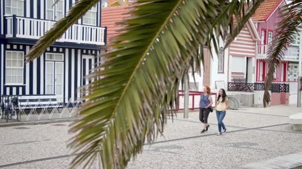 Kleurrijke Huizen Van Costa Nova Portugal Reizen — Stockvideo