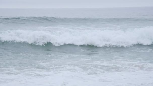 Vagues Océan Sauvage Frappant Plage Sable Tir Ralenti — Video