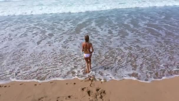 Mulher Sexy Biquíni Caminha Sobre Uma Praia Areia Oceano Imagens — Vídeo de Stock