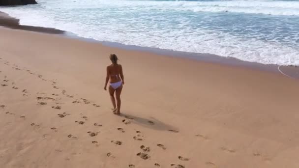 夏休みのビーチ沿いのリラックスした散歩 航空機のドローン映像 — ストック動画