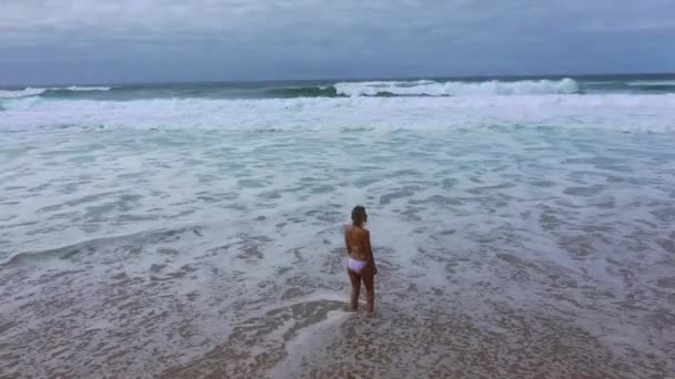 Sexy Žena Bikinách Kráčí Přes Písečnou Pláž Oceánu Letecké Drone — Stock video