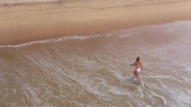 Sexy Vrouw Een Bikini Loopt Een Zandstrand Aan Oceaan Luchtfoto — Stockvideo