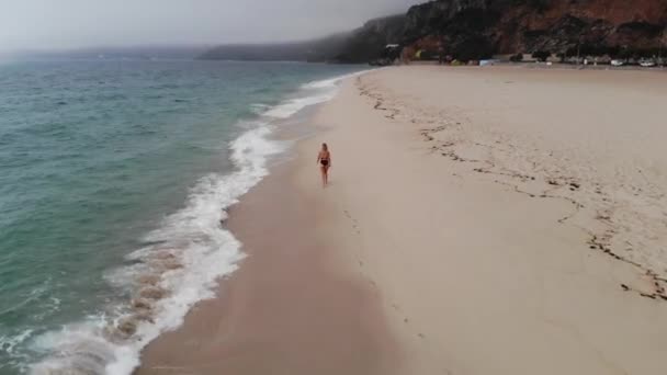 海で美しい砂浜の上を飛行する 航空機のドローン映像 — ストック動画