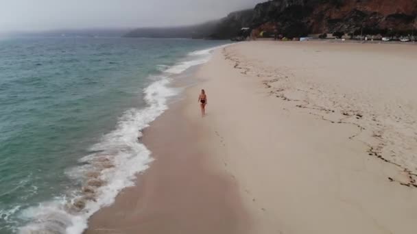 Lot Nad Piękną Piaszczystą Plażą Nad Oceanem Zdjęcia Dronów Lotniczych — Wideo stockowe