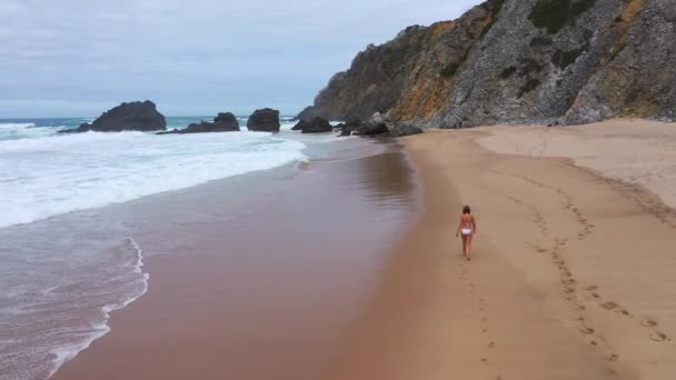 Sexy Woman Bikini Walks Sandy Beach Ocean Aerial Drone Footage — 图库视频影像
