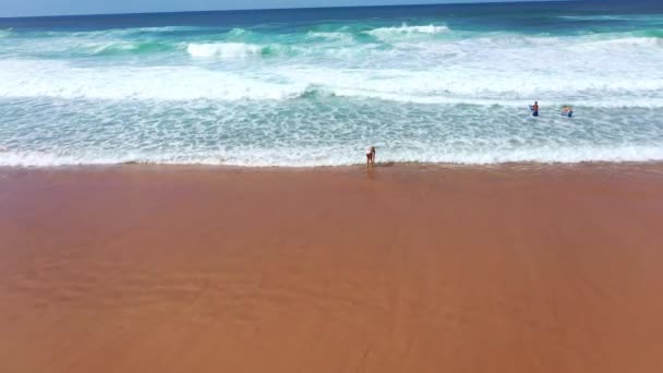 Сексуальна Жінка Бікіні Йде Через Піщаний Пляж Океані Аеродромні Кадри — стокове відео