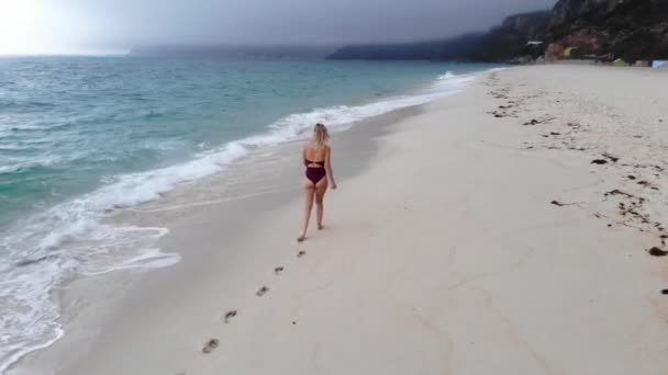 楽園のビーチでセクシーな女性は彼女の夏休みを楽しんでいます 空撮ドローン映像 — ストック動画