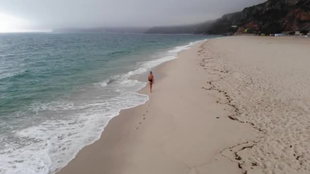 葡萄牙在大西洋海岸的海滩 空中无人驾驶飞机镜头 — 图库视频影像