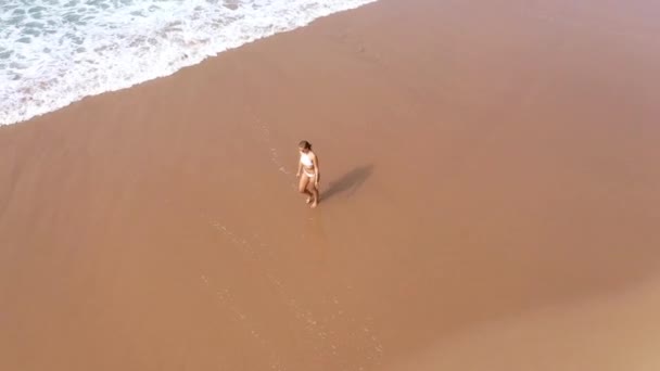 Sexig Kvinna Bikini Går Över Sandstrand Vid Havet Flygdrönarbilder — Stockvideo