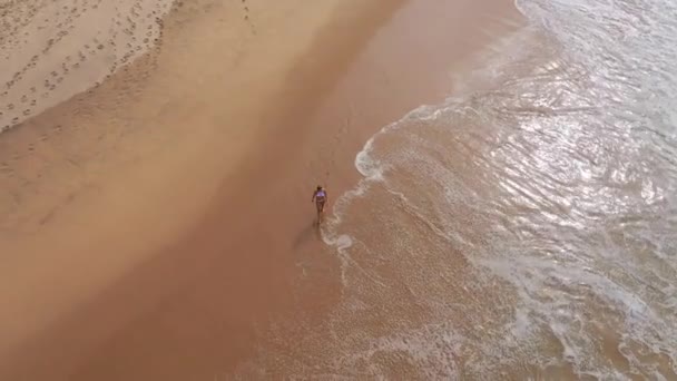 sexy Frau im Bikini geht über einen Sandstrand am Meer - Drohnenaufnahmen aus der Luft