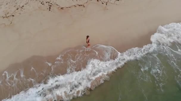 Hermosa Mujer Una Playa Vacía Paraíso Imágenes Aéreas Aviones Tripulados — Vídeo de stock