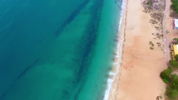 Fantastisk Sandstrand Och Djupt Blått Havsvatten Uppifrån Flygdrönarbilder — Stockvideo