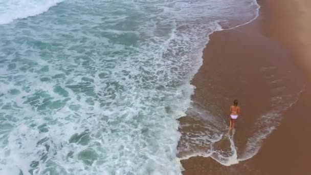 Sexy Woman Bikini Walks Sandy Beach Ocean Aerial Drone Footage — Stock Video