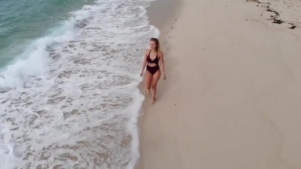 Beautiful Woman Takes Walk Beach Aerial Drone Footage — 图库视频影像