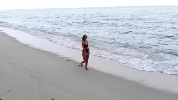 Sexy Girl Bathing Suit Walks Sandy Beach Ocean Aerial Drone — ストック動画