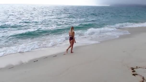 Sexy Girl Bathing Suit Walks Sandy Beach Ocean Aerial Drone — ストック動画