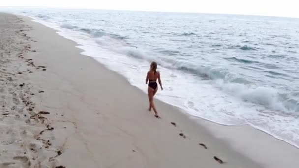 Sexy Girl Bathing Suit Walks Sandy Beach Ocean Aerial Drone — ストック動画